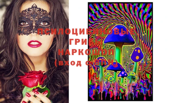 гашик Краснотурьинск